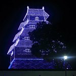 180803299.jpg