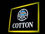 cotton03.jpg