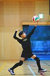 180706608.jpg