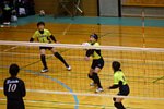 180211193.jpg